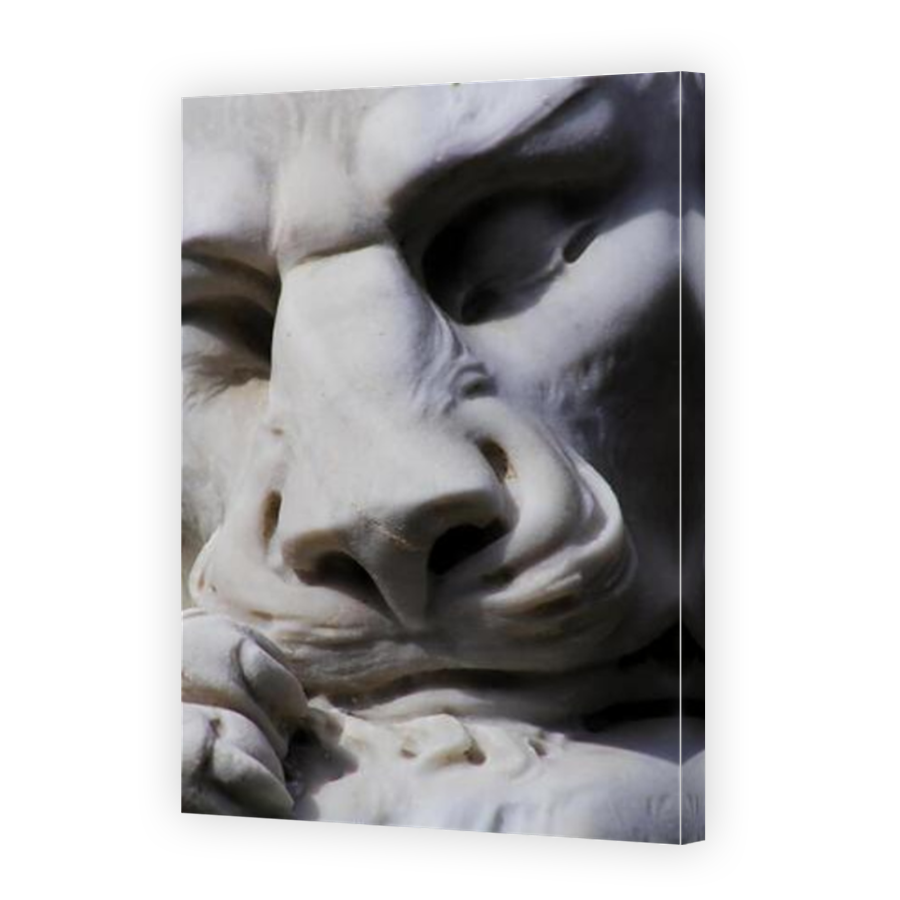 Thumbnail for Canvas - Mirror Image Canvas Wrap