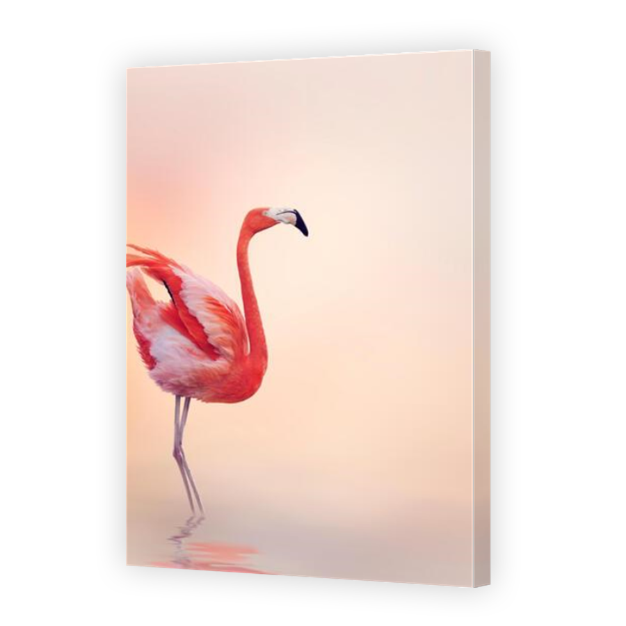 Thumbnail for Canvas - Mirror Image Canvas Wrap