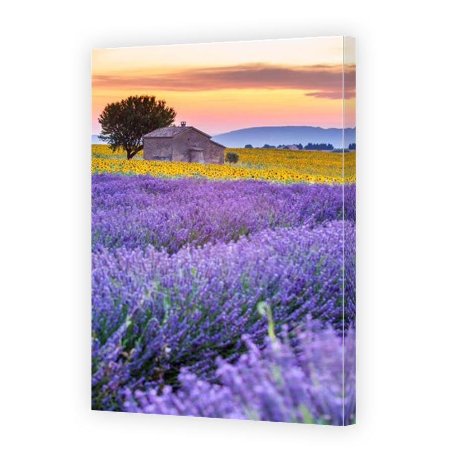 Thumbnail for Canvas - Mirror Image Canvas Wrap