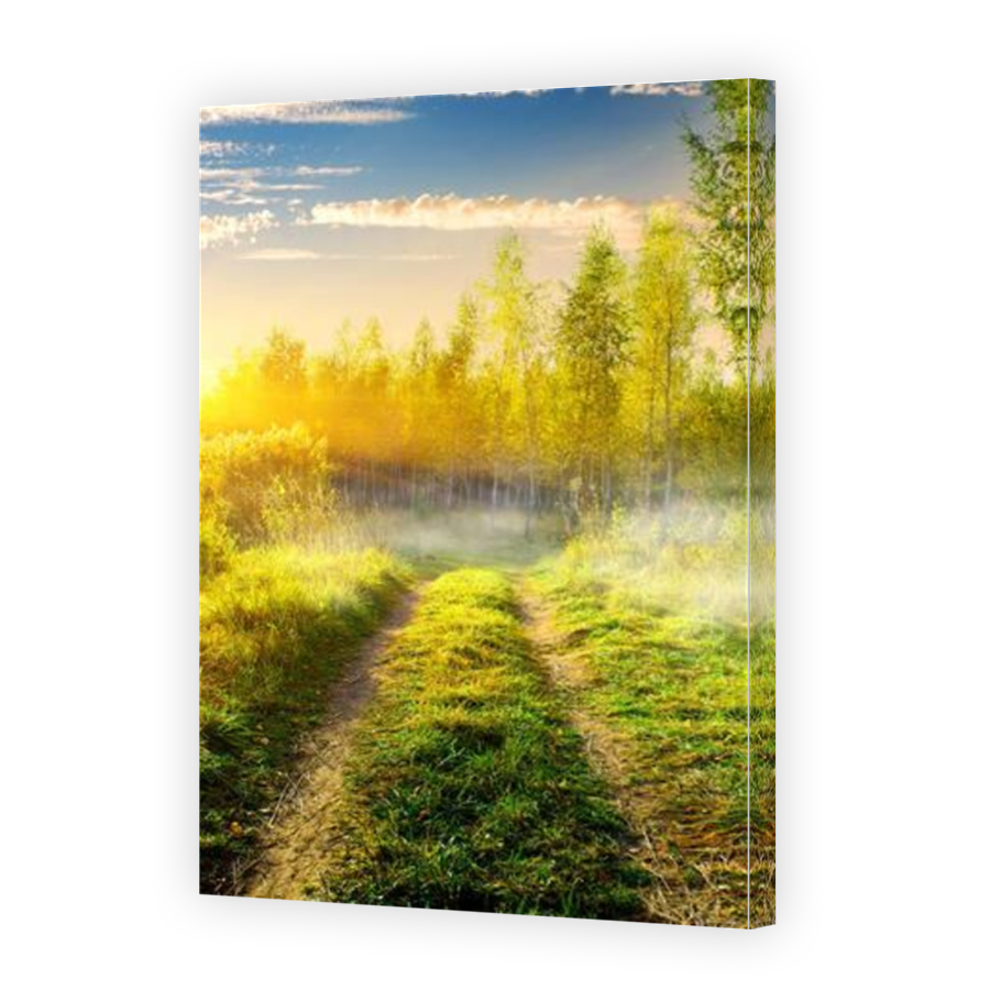 Thumbnail for Canvas - Mirror Image Canvas Wrap