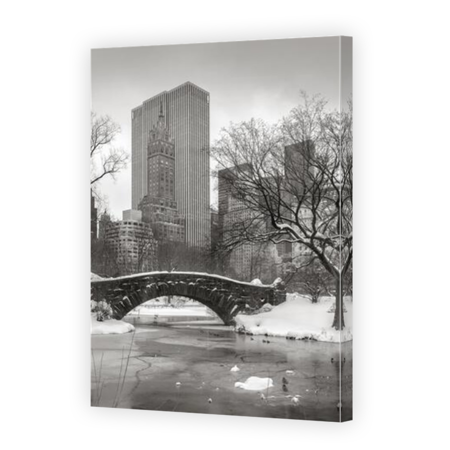 Thumbnail for Canvas - Mirror Image Canvas Wrap