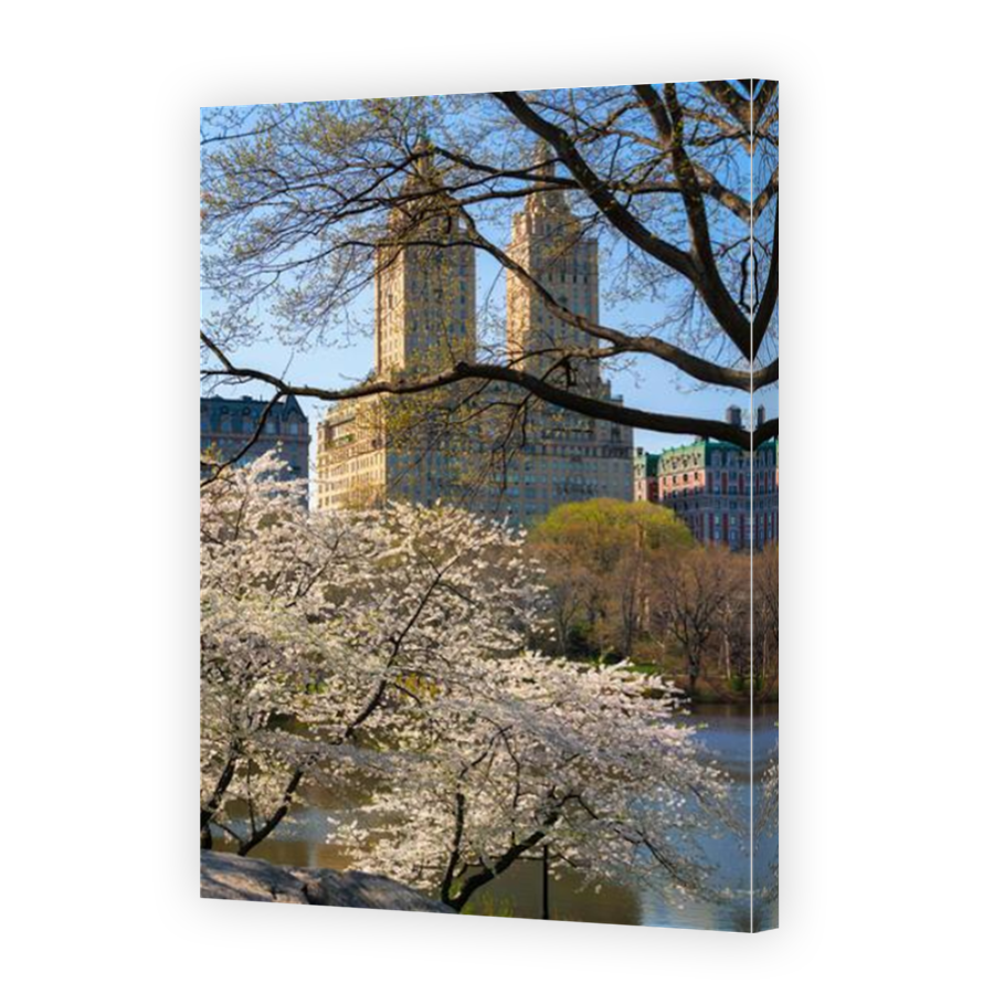 Thumbnail for Canvas - Mirror Image Canvas Wrap