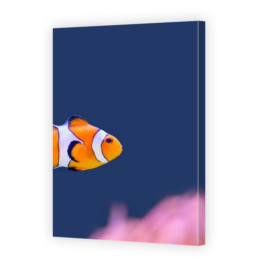 Thumbnail for Canvas - Mirror Image Canvas Wrap
