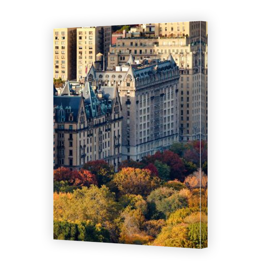 Thumbnail for Canvas - Mirror Image Canvas Wrap