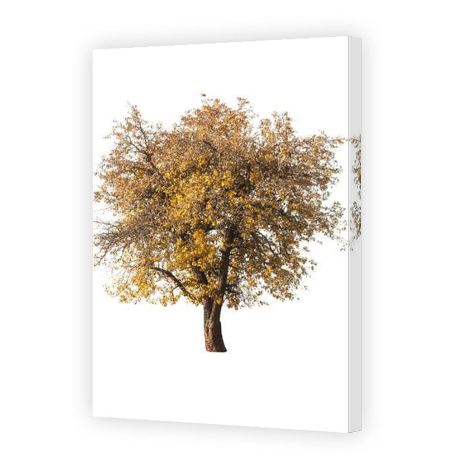 Thumbnail for Canvas - Mirror Image Canvas Wrap