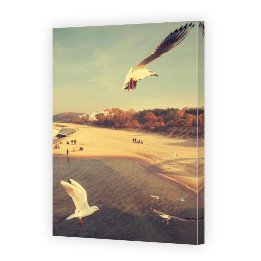 Thumbnail for Canvas - Mirror Image Canvas Wrap