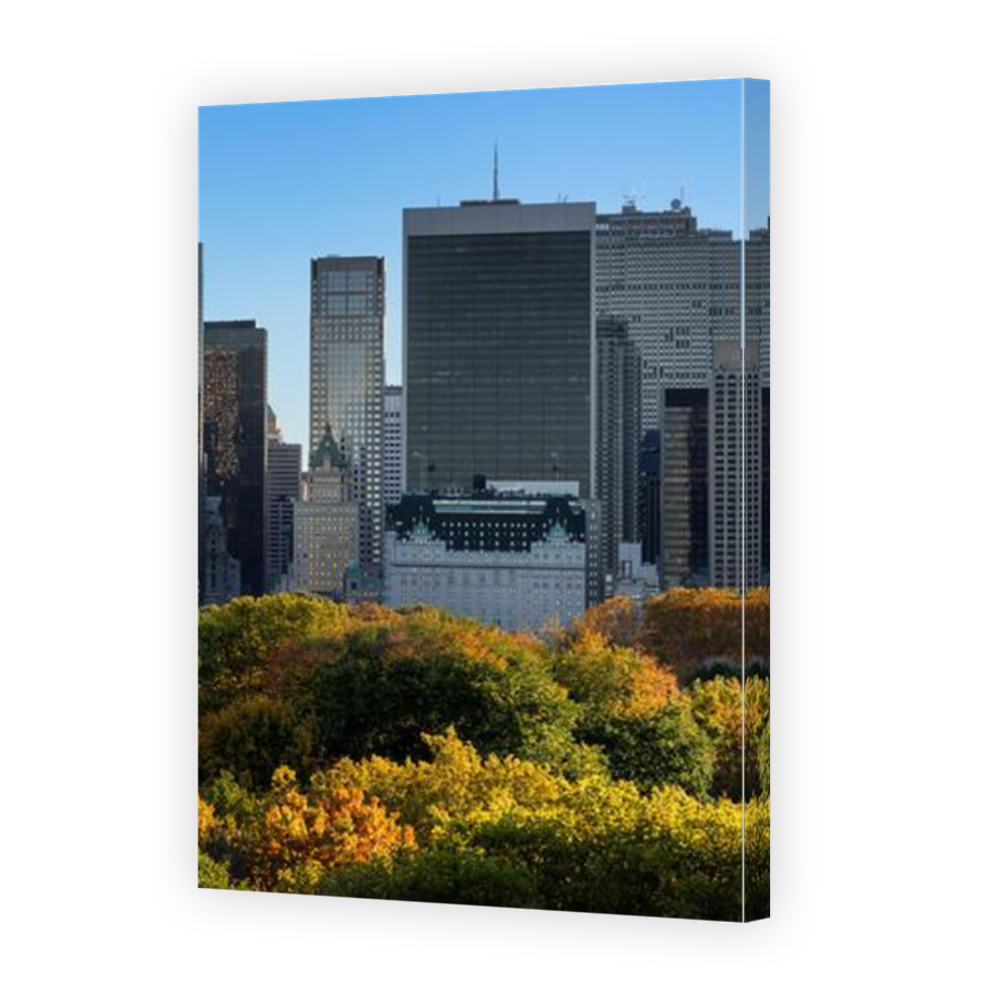 Thumbnail for Canvas - Mirror Image Canvas Wrap