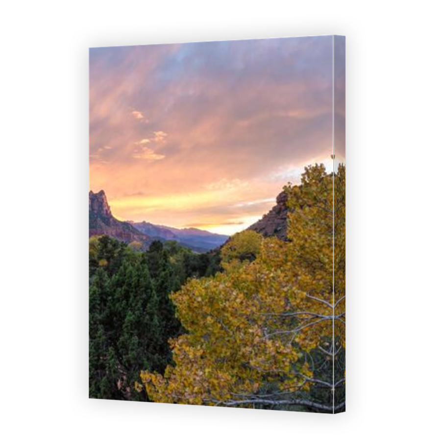 Thumbnail for Canvas - Mirror Image Canvas Wrap