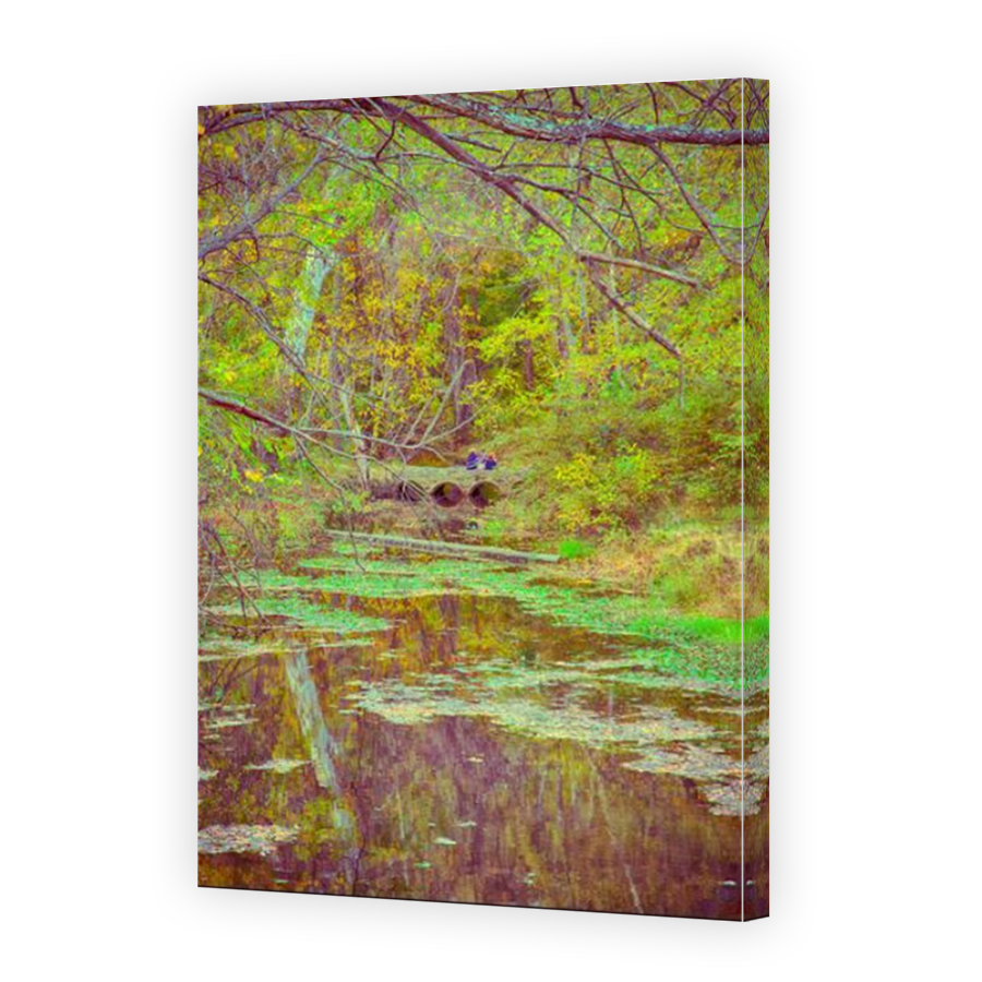 Thumbnail for Canvas - Mirror Image Canvas Wrap
