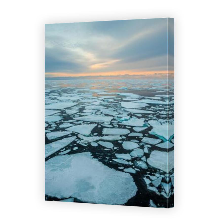 Thumbnail for Canvas - Mirror Image Canvas Wrap