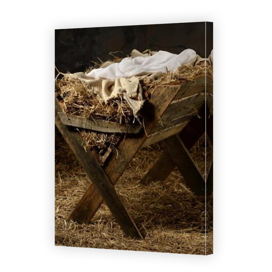 Thumbnail for Canvas - Mirror Image Canvas Wrap