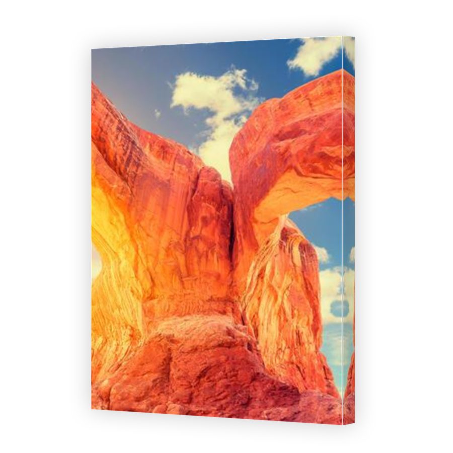 Thumbnail for Canvas - Mirror Image Canvas Wrap