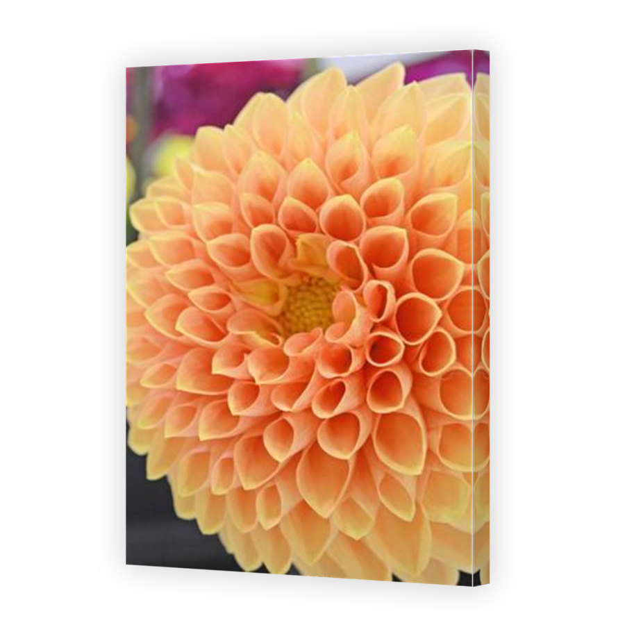 Thumbnail for Canvas - Mirror Image Canvas Wrap