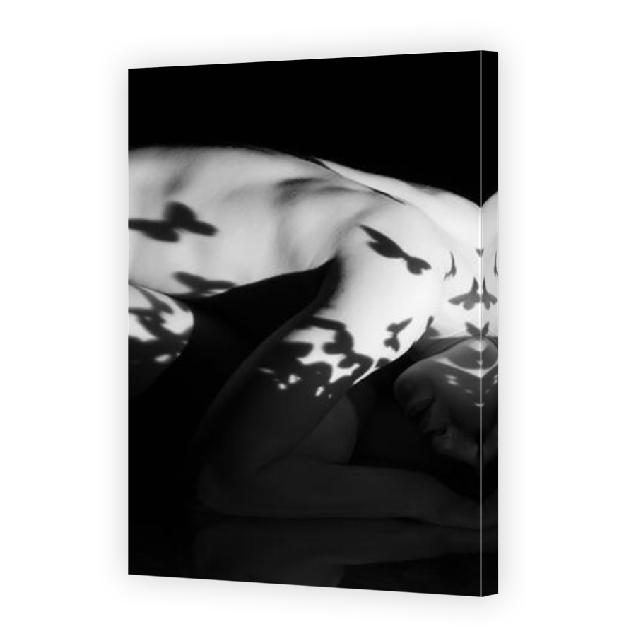 Thumbnail for Canvas - Mirror Image Canvas Wrap