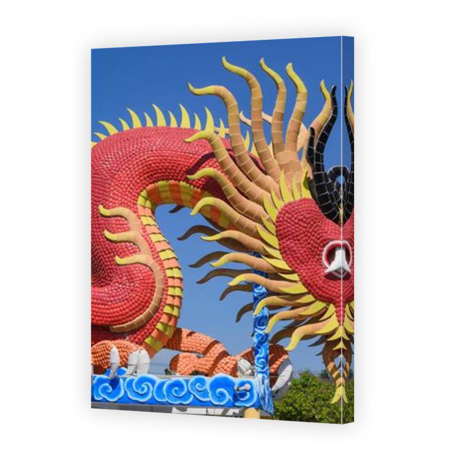 Thumbnail for Canvas - Mirror Image Canvas Wrap