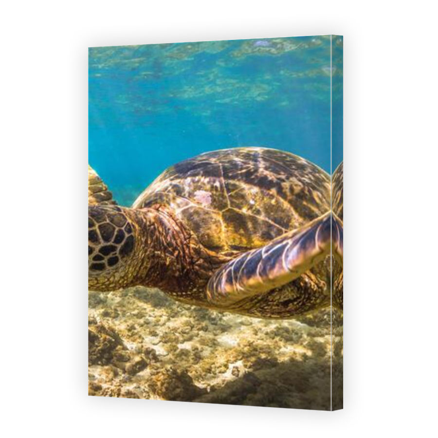 Thumbnail for Canvas - Mirror Image Canvas Wrap