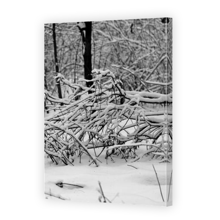 Thumbnail for Canvas - Mirror Image Canvas Wrap