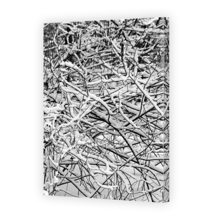 Thumbnail for Canvas - Mirror Image Canvas Wrap