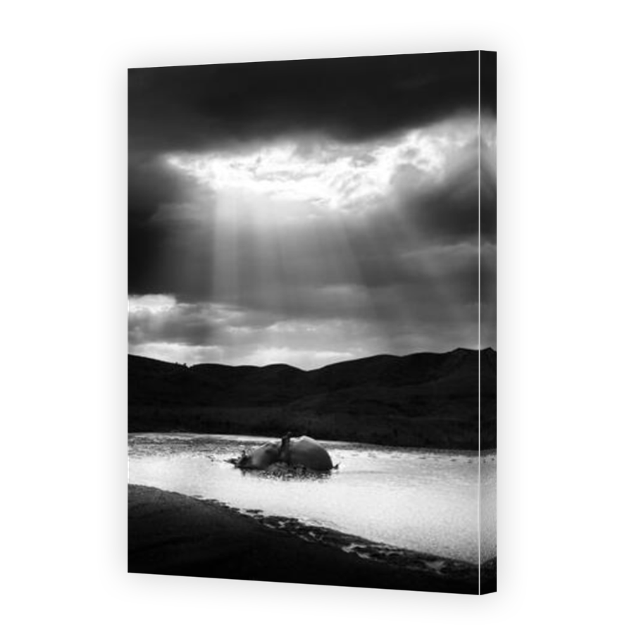 Thumbnail for Canvas - Mirror Image Canvas Wrap