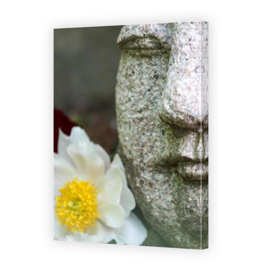 Thumbnail for Canvas - Mirror Image Canvas Wrap