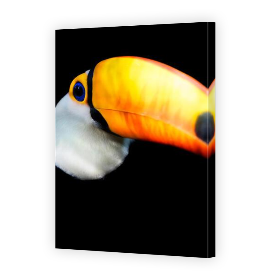 Thumbnail for Canvas - Mirror Image Canvas Wrap