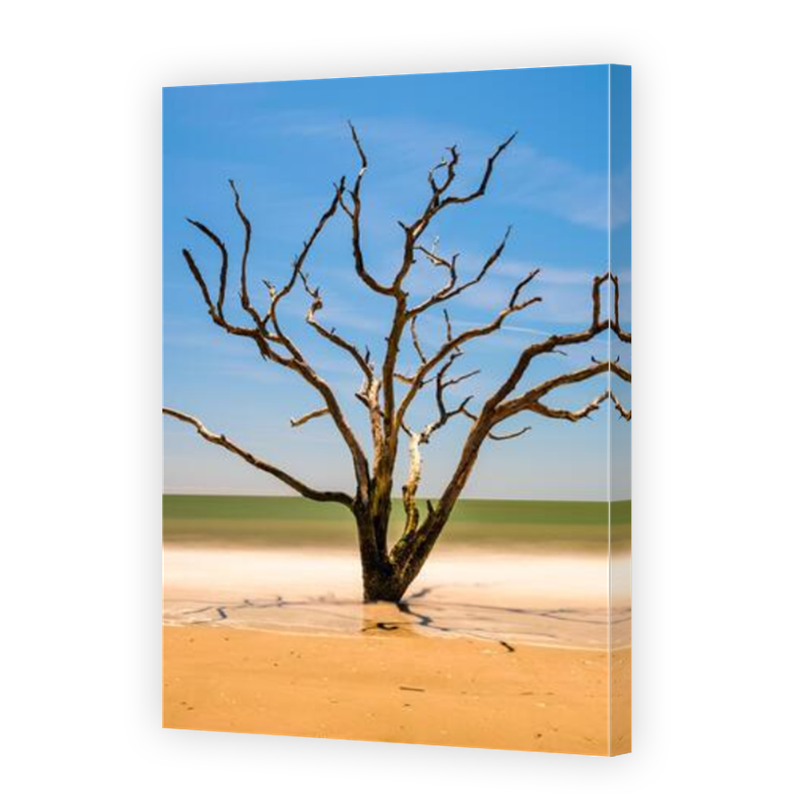 Thumbnail for Canvas - Mirror Image Canvas Wrap