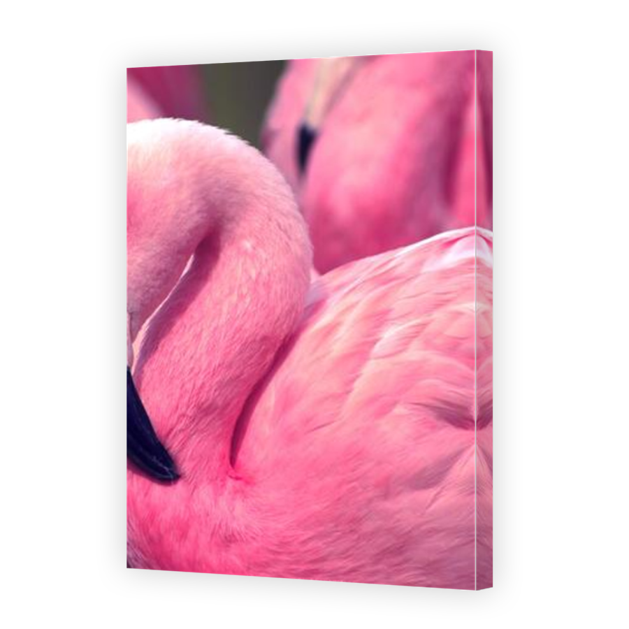 Thumbnail for Canvas - Mirror Image Canvas Wrap