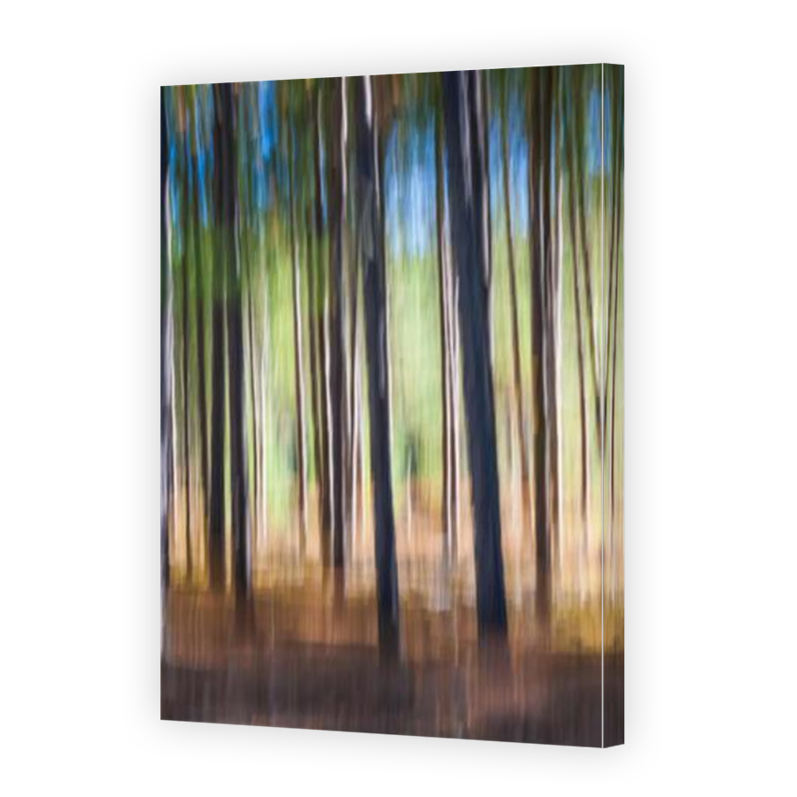 Thumbnail for Canvas - Mirror Image Canvas Wrap