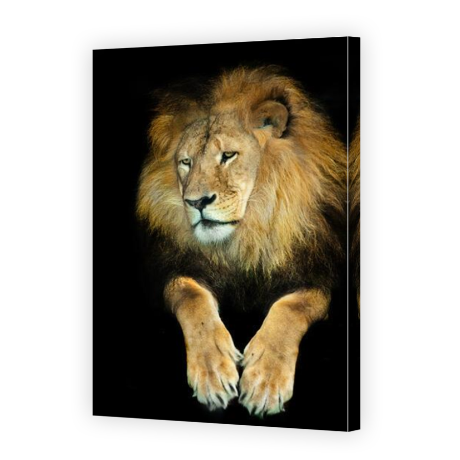 Thumbnail for Canvas - Mirror Image Canvas Wrap
