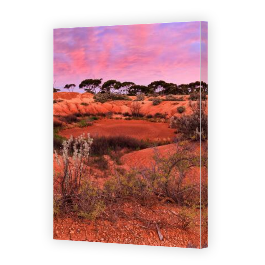 Thumbnail for Canvas - Mirror Image Canvas Wrap