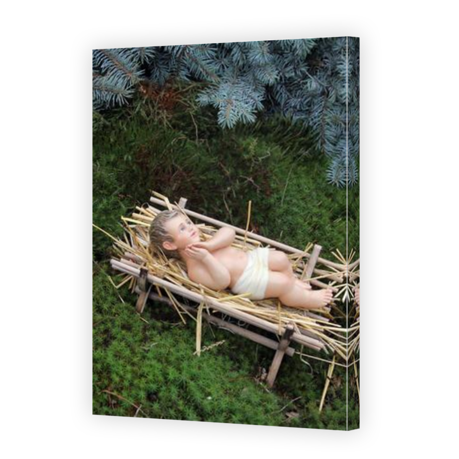 Thumbnail for Canvas - Mirror Image Canvas Wrap