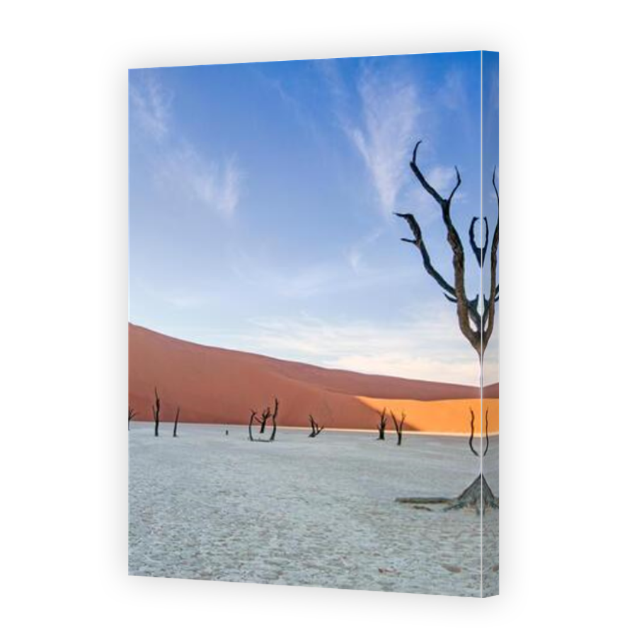 Thumbnail for Canvas - Mirror Image Canvas Wrap