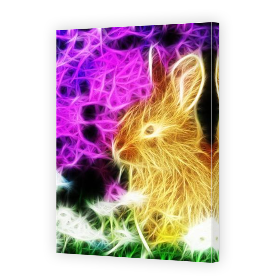 Thumbnail for Canvas - Mirror Image Canvas Wrap