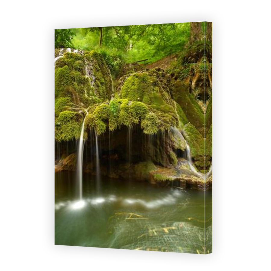 Thumbnail for Canvas - Mirror Image Canvas Wrap