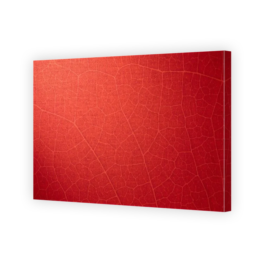 Thumbnail for Canvas - Mirror Image Canvas Wrap