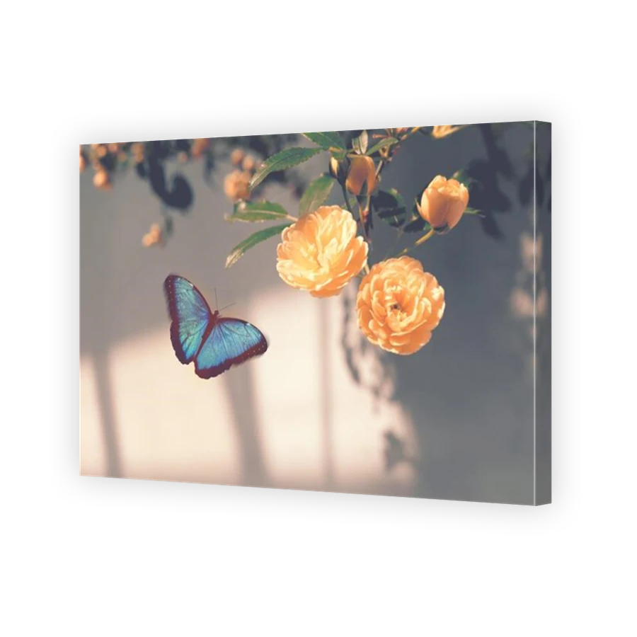 Thumbnail for Canvas - Mirror Image Canvas Wrap