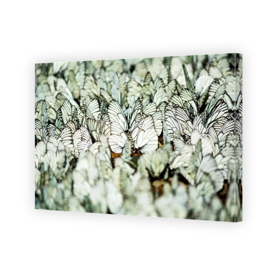 Thumbnail for Canvas - Mirror Image Canvas Wrap