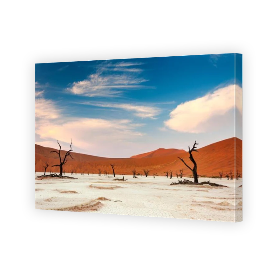 Thumbnail for Canvas - Mirror Image Canvas Wrap