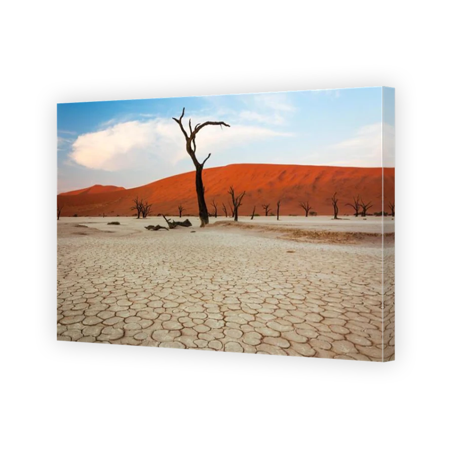 Thumbnail for Canvas - Mirror Image Canvas Wrap