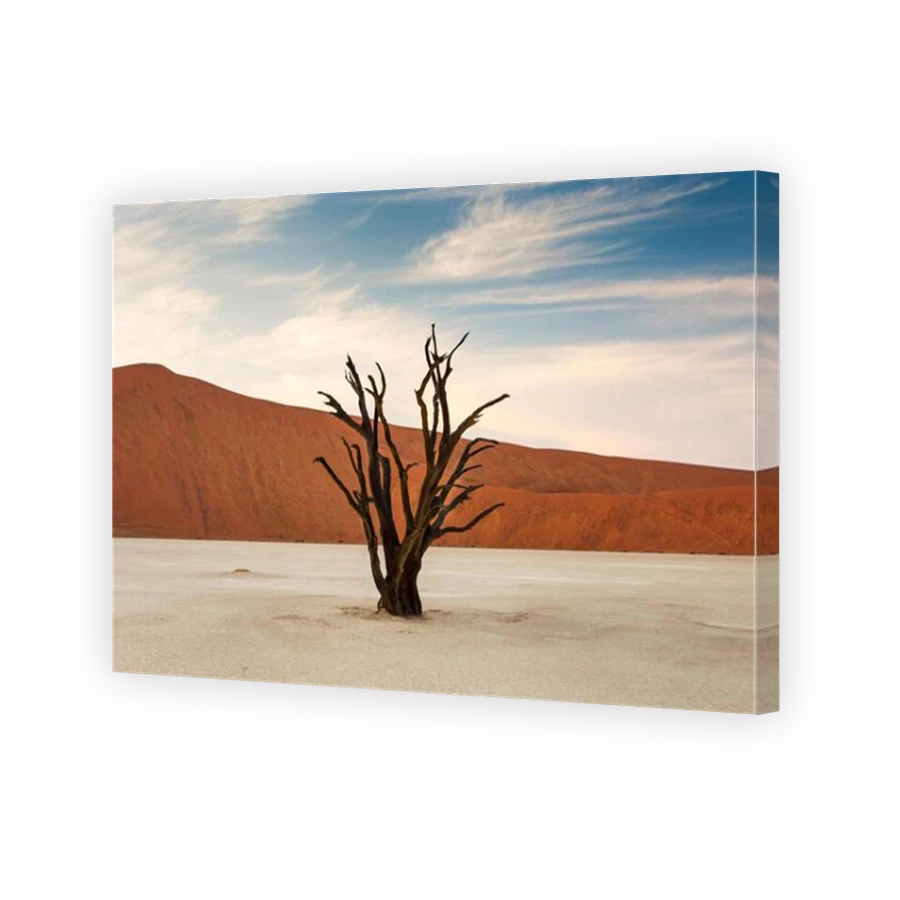 Thumbnail for Canvas - Mirror Image Canvas Wrap