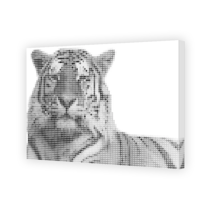 Thumbnail for Canvas - Mirror Image Canvas Wrap