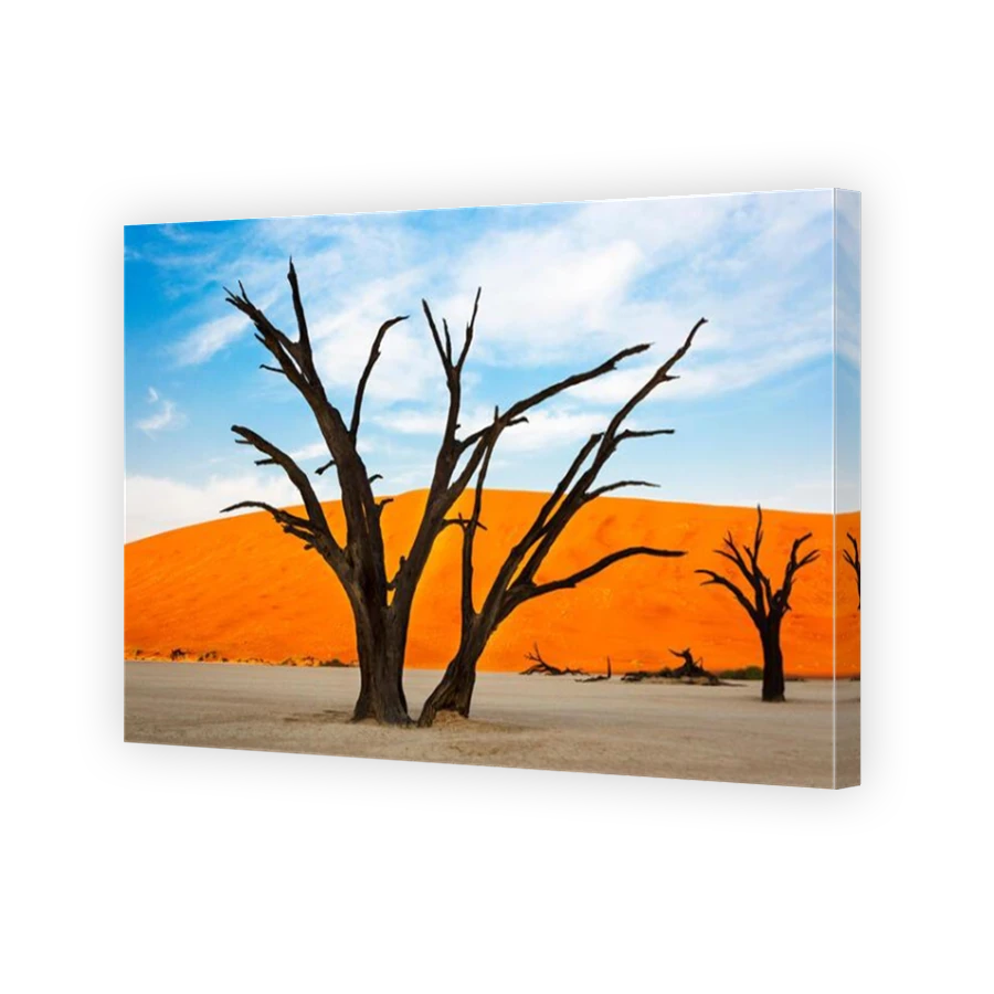 Thumbnail for Canvas - Mirror Image Canvas Wrap