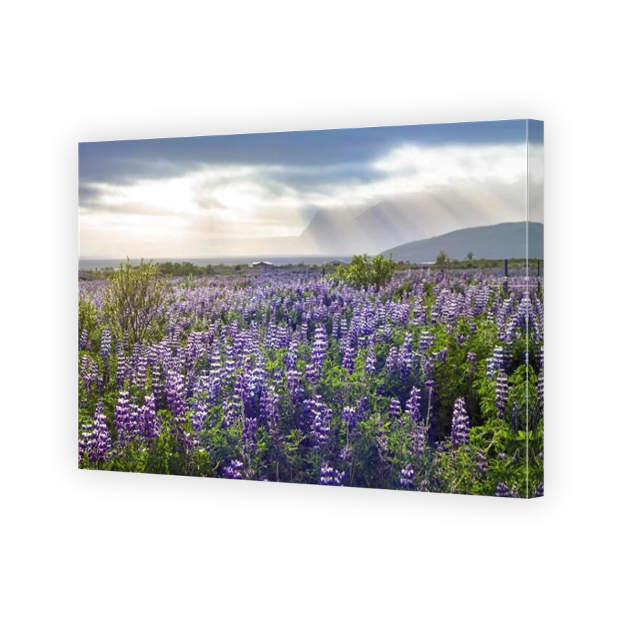 Thumbnail for Canvas - Mirror Image Canvas Wrap