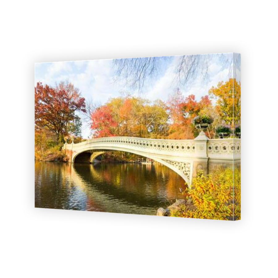 Thumbnail for Canvas - Mirror Image Canvas Wrap