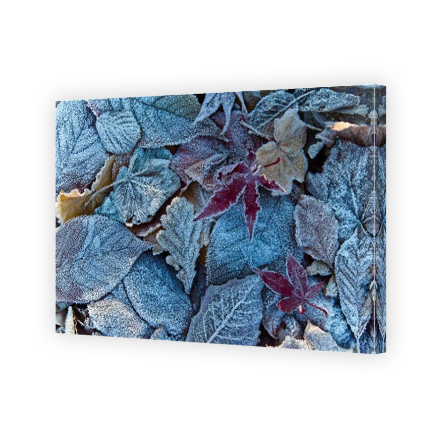 Thumbnail for Canvas - Mirror Image Canvas Wrap