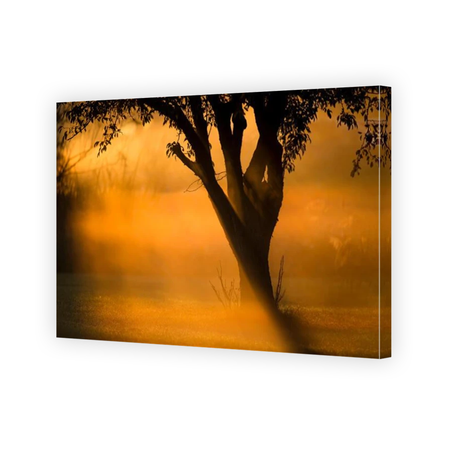 Thumbnail for Canvas - Mirror Image Canvas Wrap