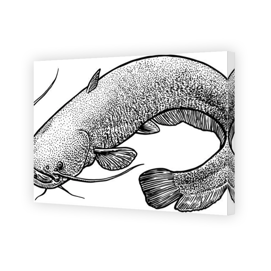 Thumbnail for Canvas - Mirror Image Canvas Wrap