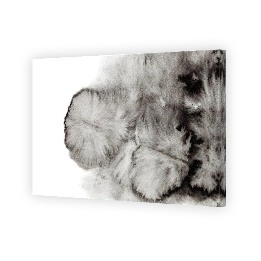 Thumbnail for Canvas - Mirror Image Canvas Wrap