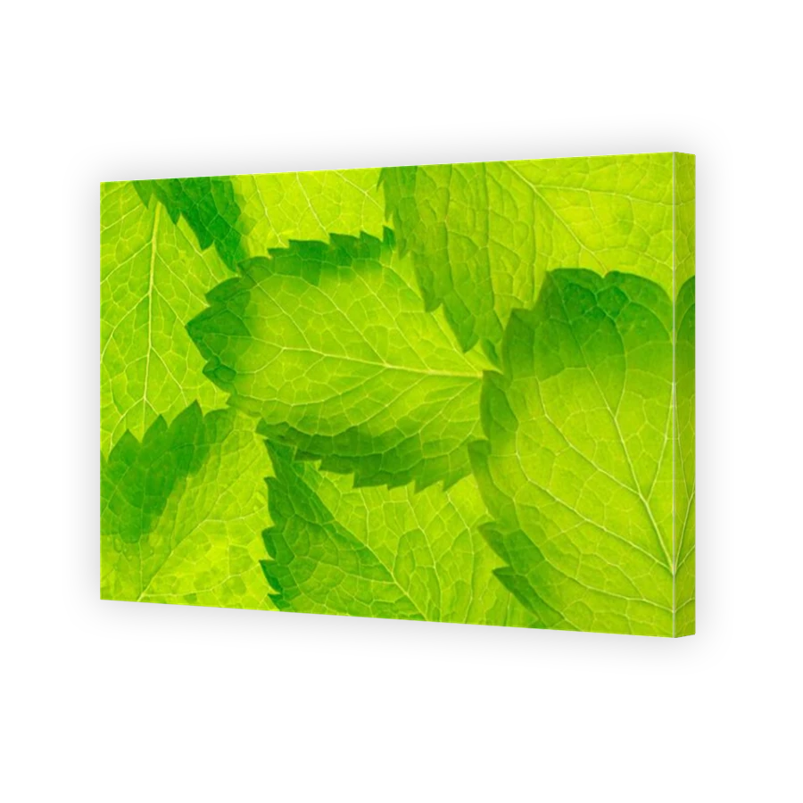 Thumbnail for Canvas - Mirror Image Canvas Wrap