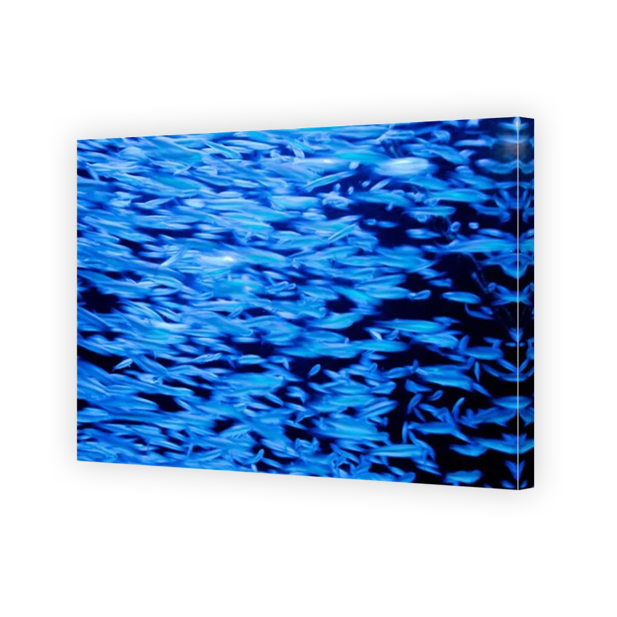 Thumbnail for Canvas - Mirror Image Canvas Wrap